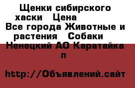 Щенки сибирского хаски › Цена ­ 12 000 - Все города Животные и растения » Собаки   . Ненецкий АО,Каратайка п.